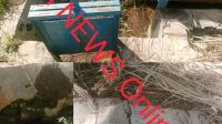 IMG-20251216-WA0063