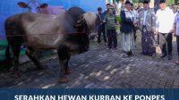 IMG-20260527-WA0048
