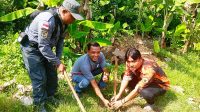 IMG-20260601-WA0030